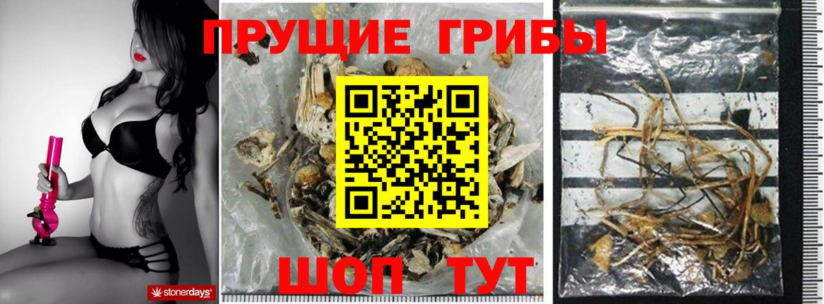 Псилоцибиновые грибы прущие грибы Кыштым